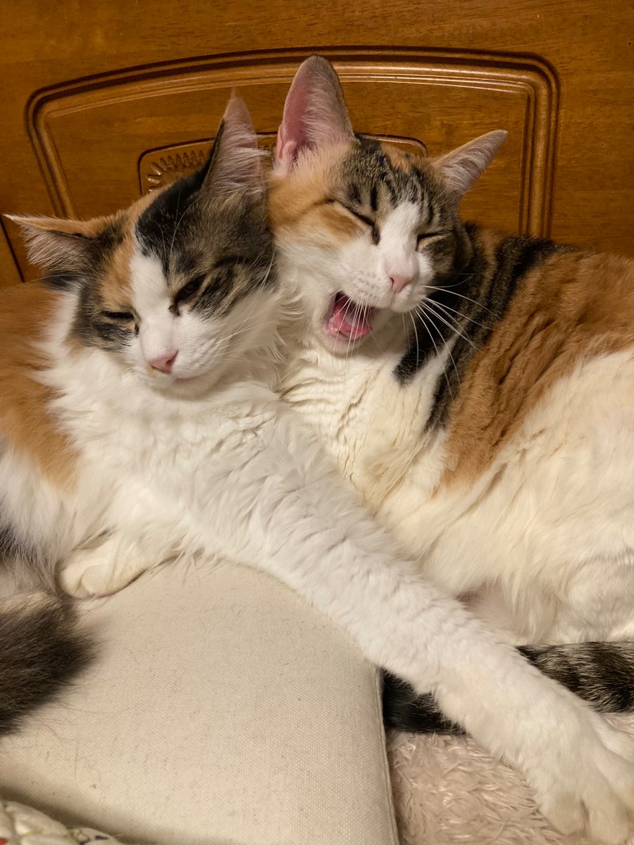 寒い夜だから〜