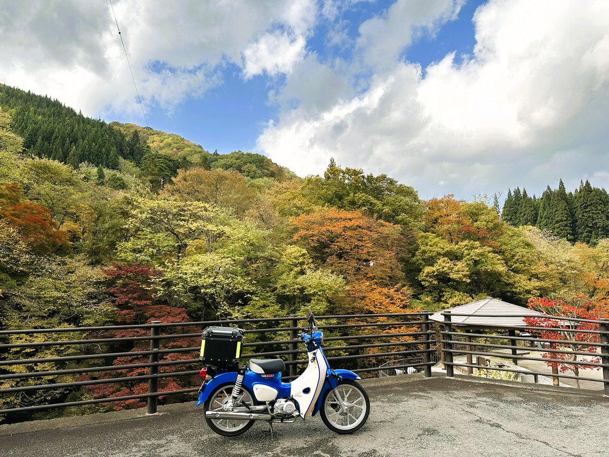 T_Deluxe_with_蒼蕪🔰さん_٩(ˊᗜˋ*)و on X