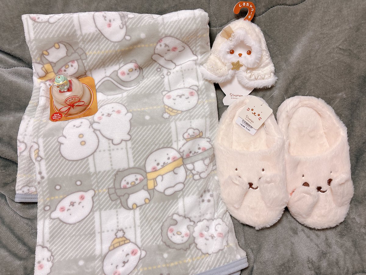 ちのぴちゃん (@428chino) / Posts / X