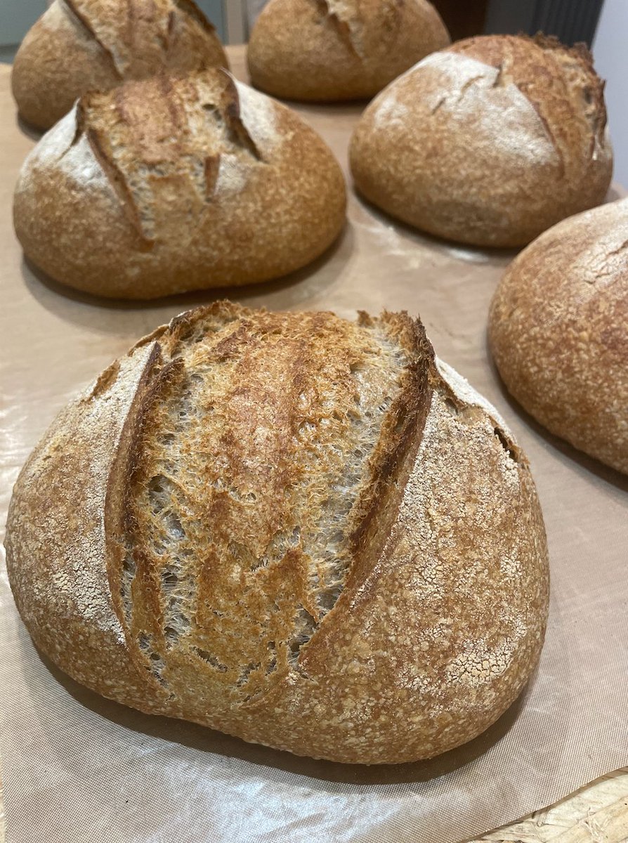 Breda Murphy tweet media