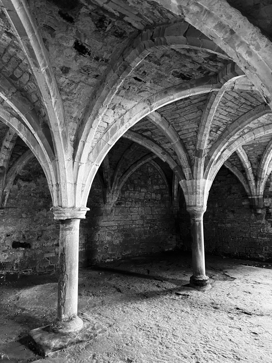 Cumbria Uni English tweet media