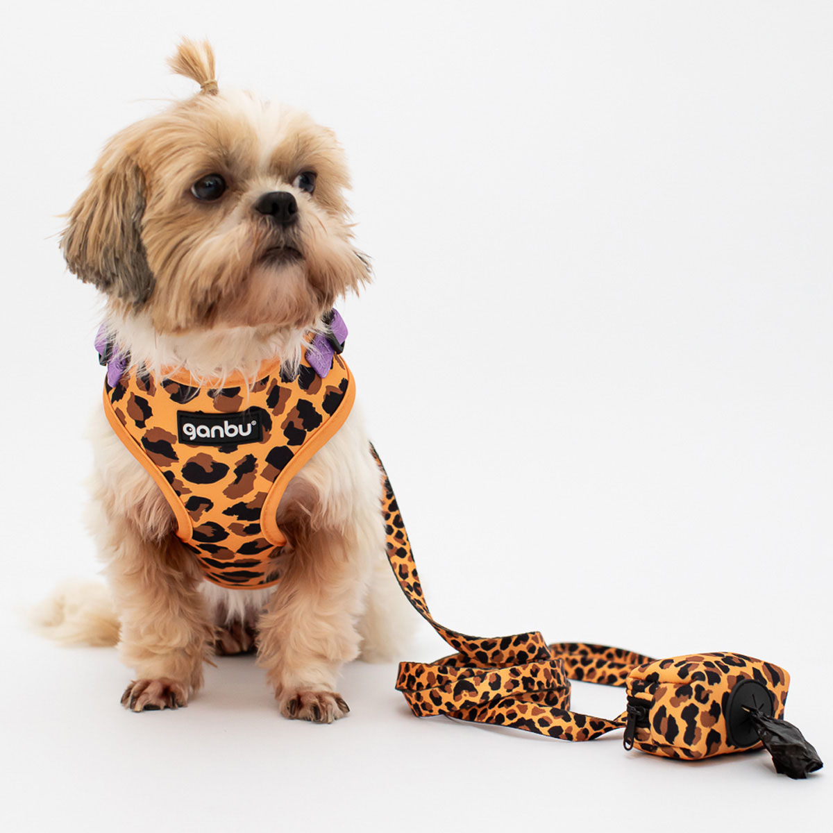 E agora é oficial
Todo MBLista é gado de partido politico e militonto por definição

Que fim horrível para um movimento "anti sistema" de adolescentes revoltadinhos

Parabéns a todos os envolvidos