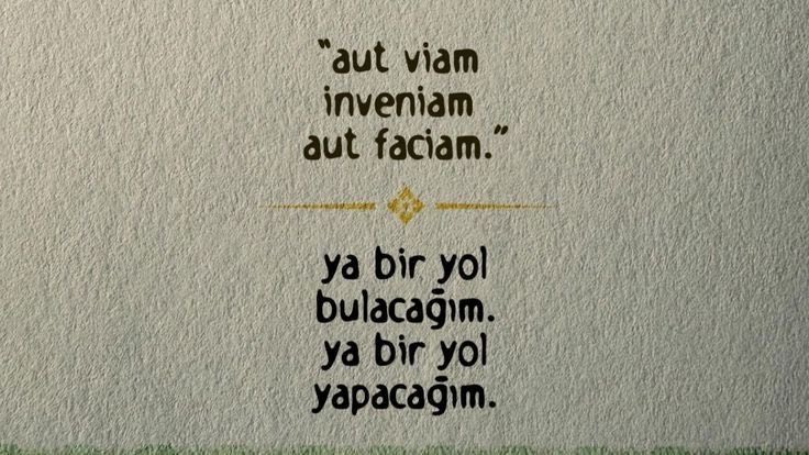 Sıla🧚‍♀️ tweet media