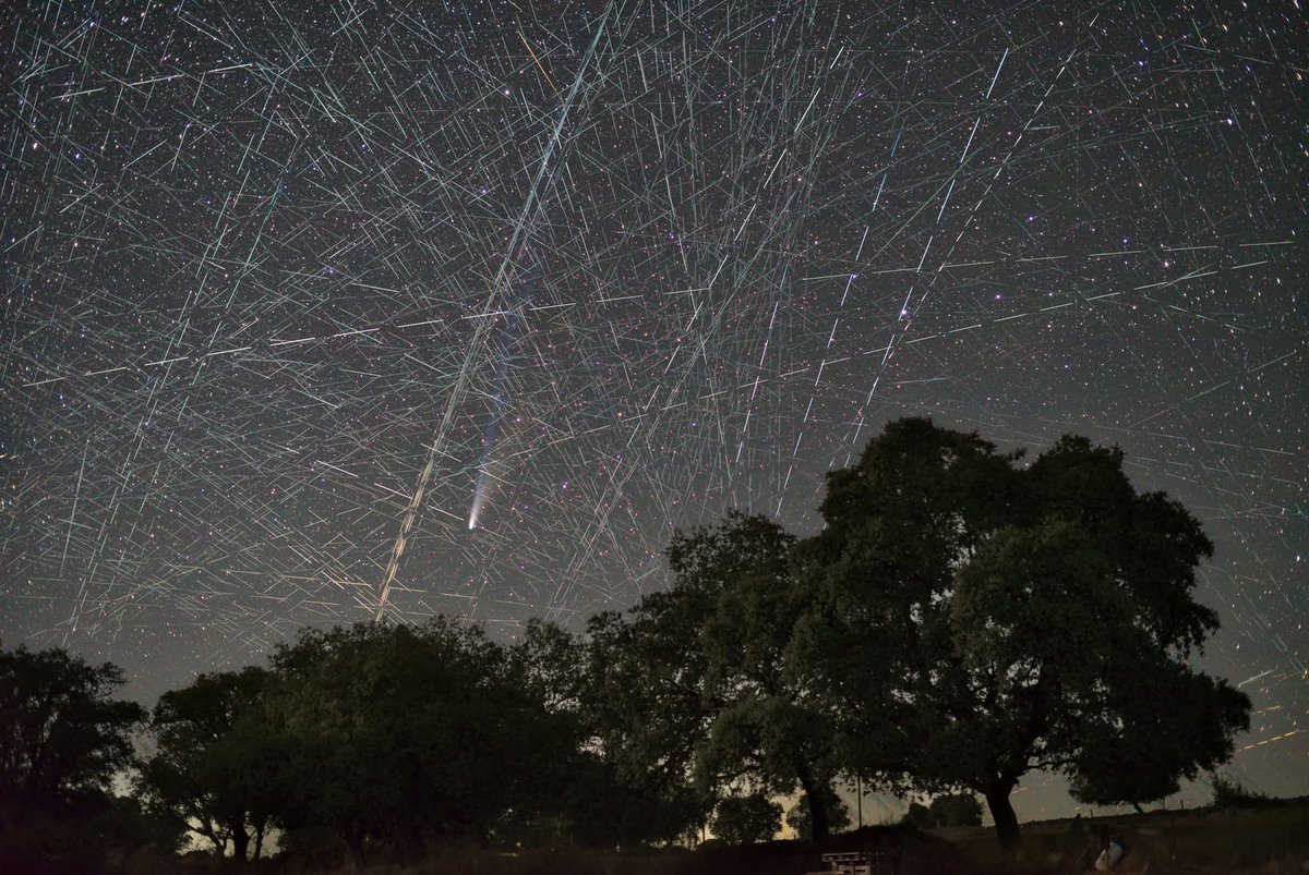 TamasKozsup's tweet photo. @Starlink Yeah, congrats for that.
And this is what you do with the night sky. This is what happens when someone wants to make a long exposure image about anything. This is comet Lemmon surrounded by your creation. https://t.co/yy9zqBzzOc