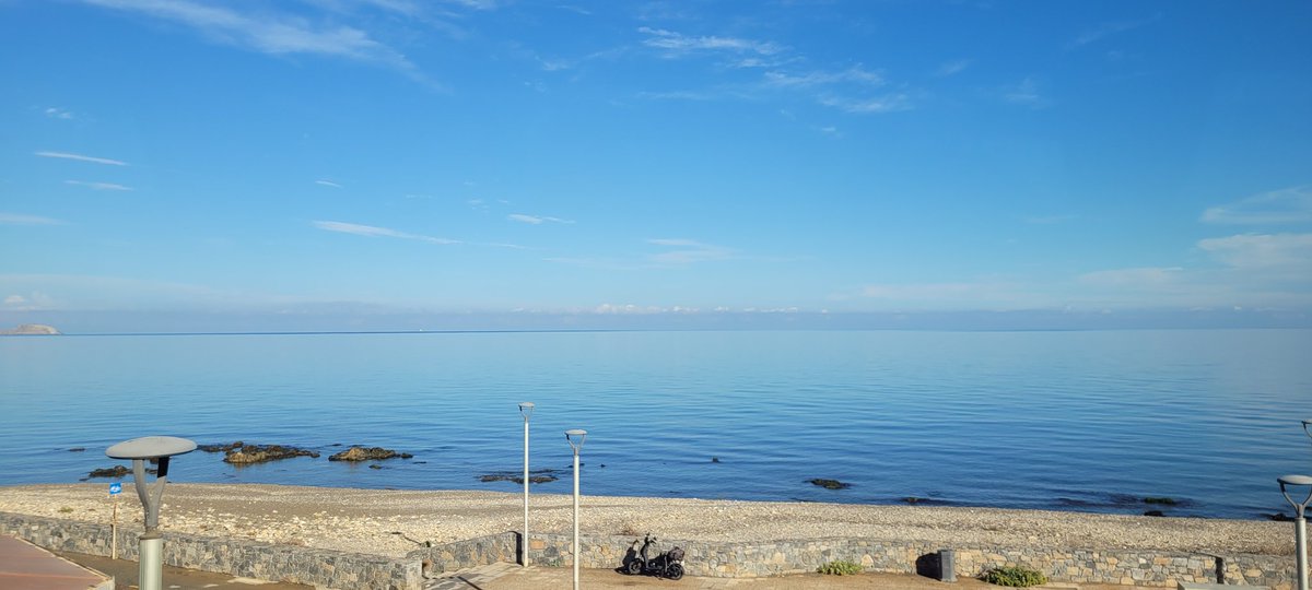 Dr. Tora K. Smulders-Srinivasan 🔬PhD 👩🏾‍🔬 tweet media