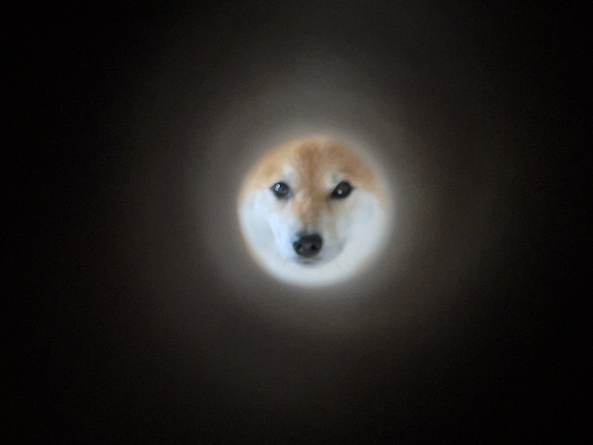 DRAGON✧ダックスのオルゴナイト❤めぐりんさま❤専用です DRAGON✧ダックスのオルゴナイト❤めぐりんさま❤専用です