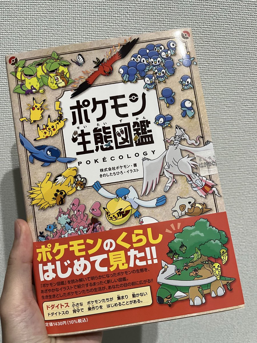 あ*き様 サザレ キハダ ボタン グルージャ タロ オモダカ ポピー ナナミの手 ぽ on X