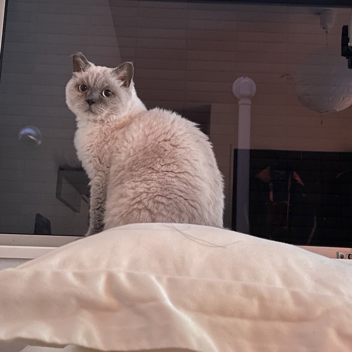 え (@ddn_e) on Twitter photo 