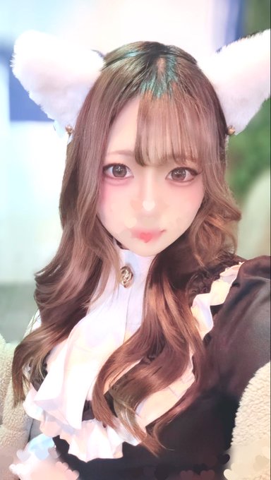 池猫 ~池袋の猫たち~のツイート