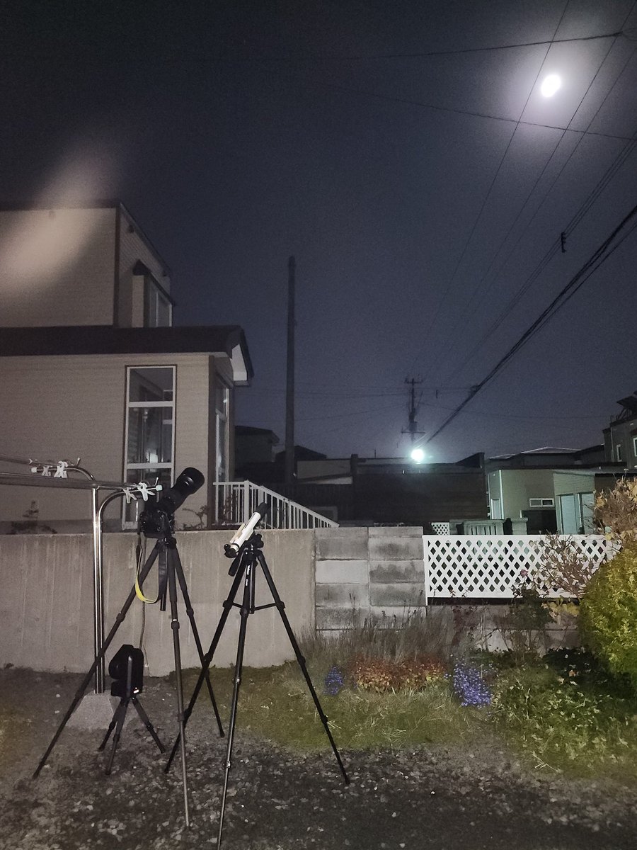 月へのみち 11/6(木) 新曲追加！さらに、「千恋＊万花」リバイバルイベント