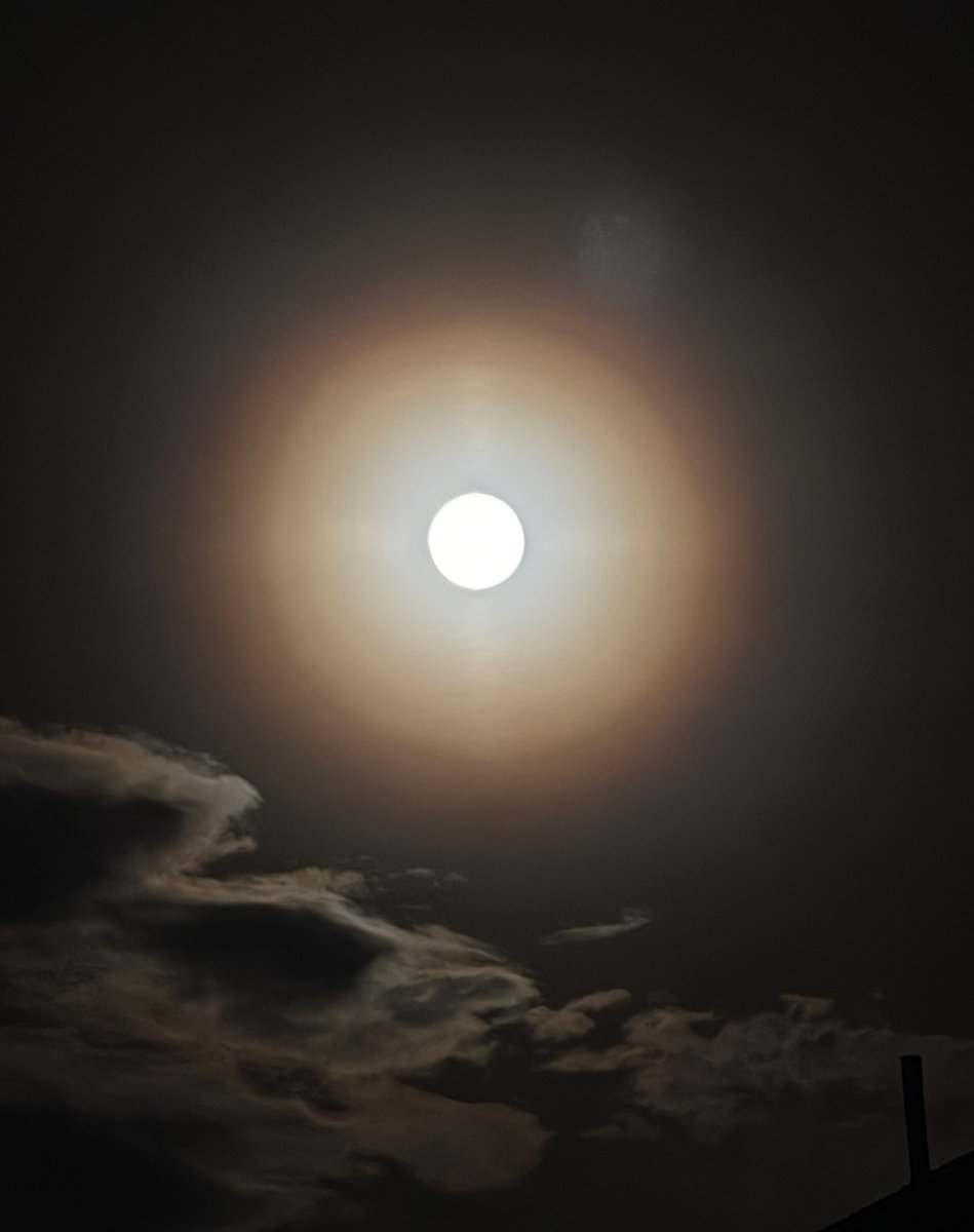 jonghyyun's tweet image. jonghyun&apos;s so bright tonight