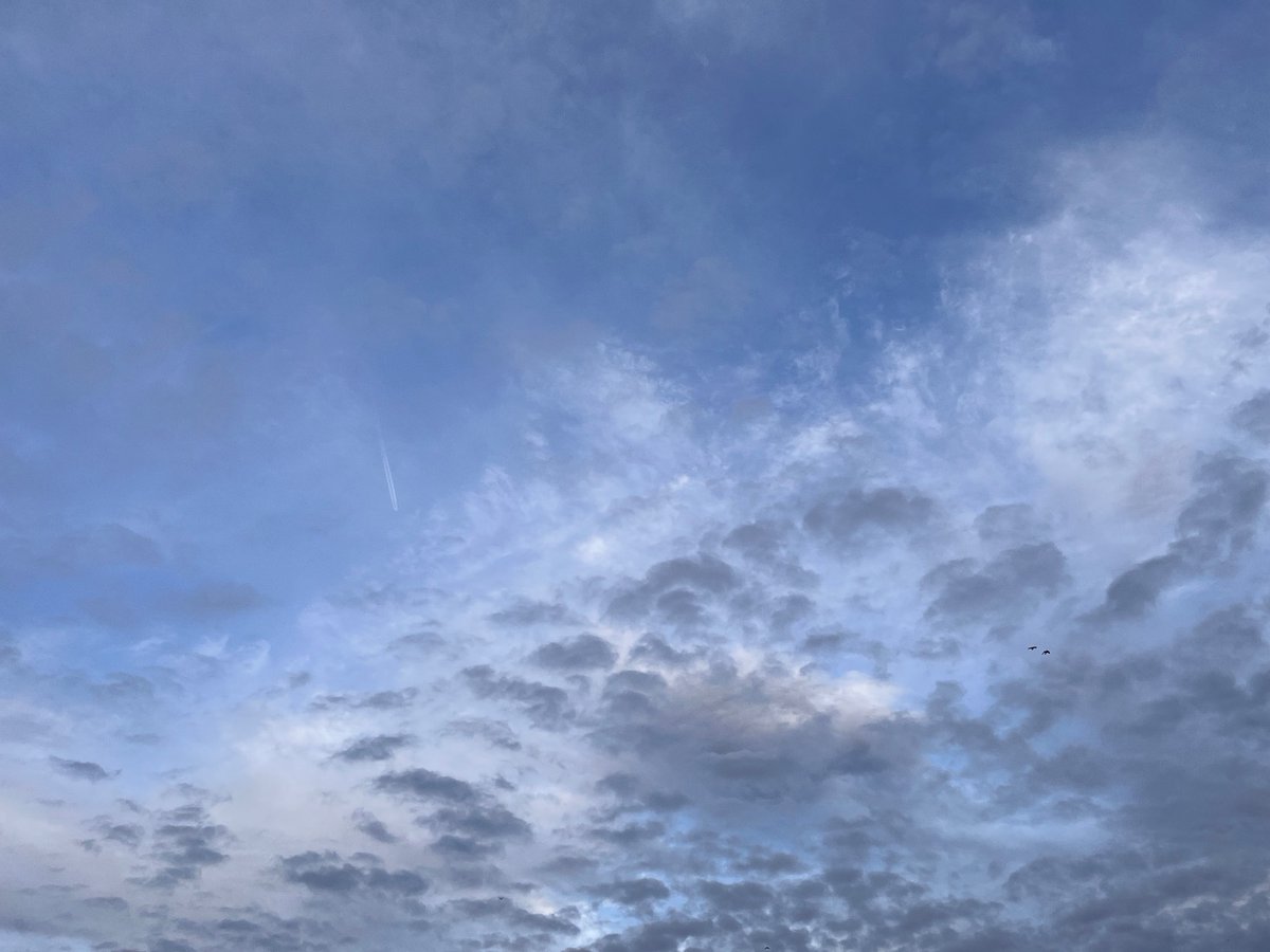 仕事で己の箸の使い方がおかしいと痛感したので、
矯正箸を購入。

左利き用矯正箸あるの、地味に嬉しいなぁ。

矯正箸使ったら掴みやすくて、
ご飯が尚美味しかった。
これは慣れねば。