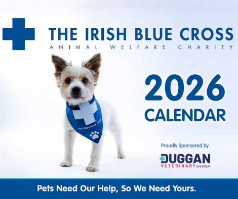 The Irish Blue Cross tweet media