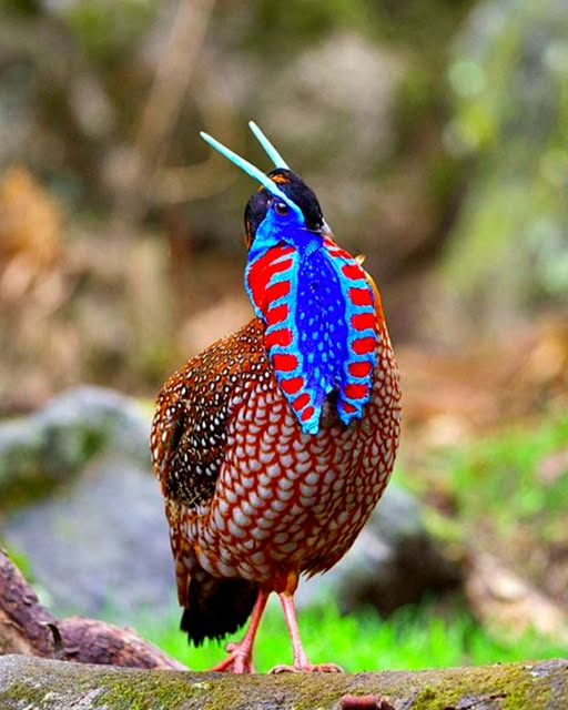 İnsanlara anlayacakları şekilde konuşunuz. Hz. Ali