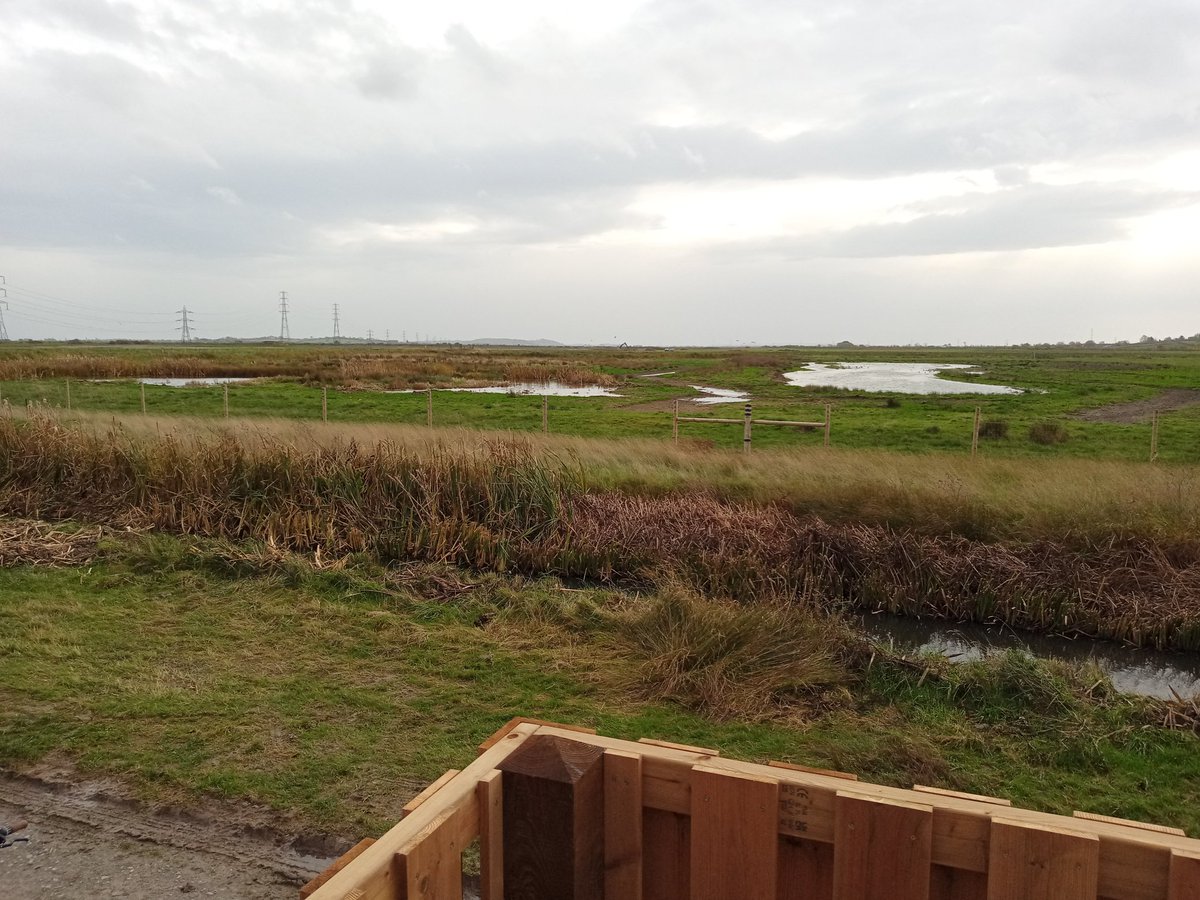 Davutd55's tweet photo. Steart. A viewing platform has been built at the western end of Otterhampton Marsh. A few weeks ago the 2 pools had waders in them, hopefully in the spring some will be seen. @bto_somerset1 https://t.co/ZW7mKDUs4A