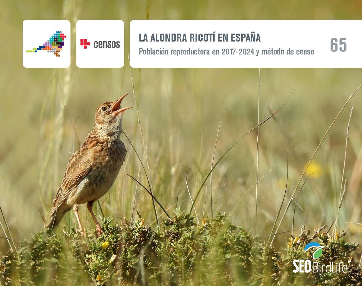 Museo Nacional de Ciencias Naturales tweet media