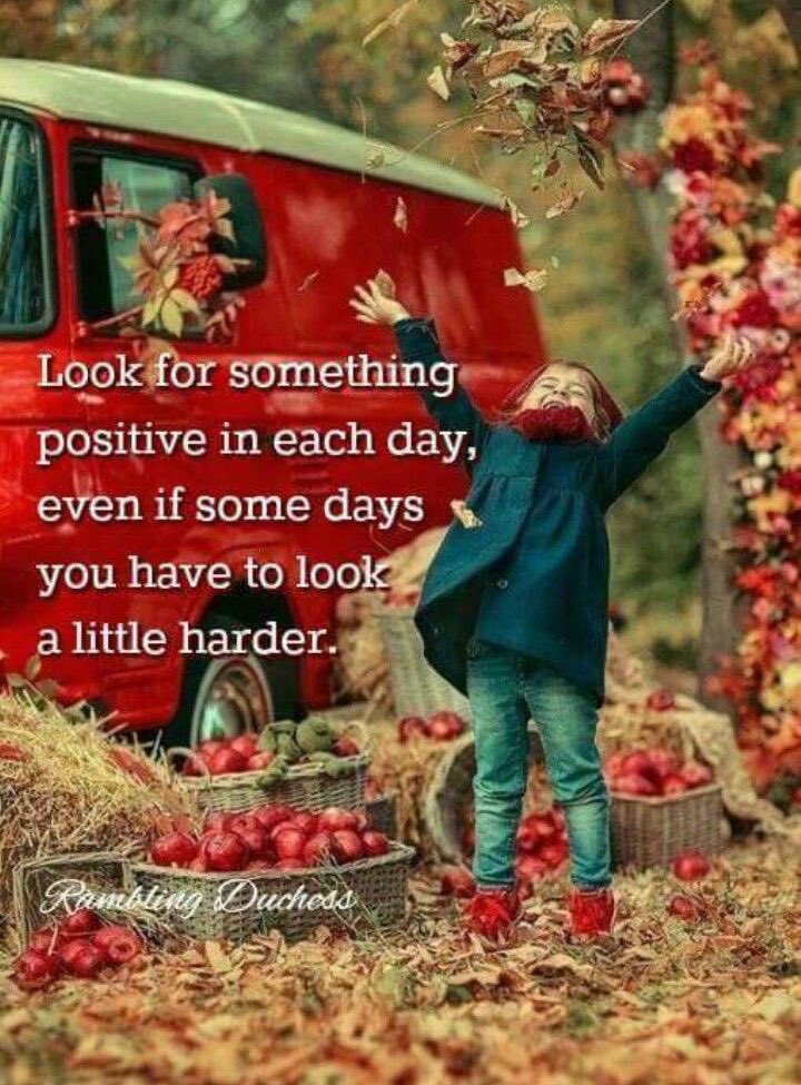 Kimberly 🚫DMs tweet media