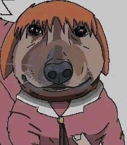 quien mas quiere 👇👇👇