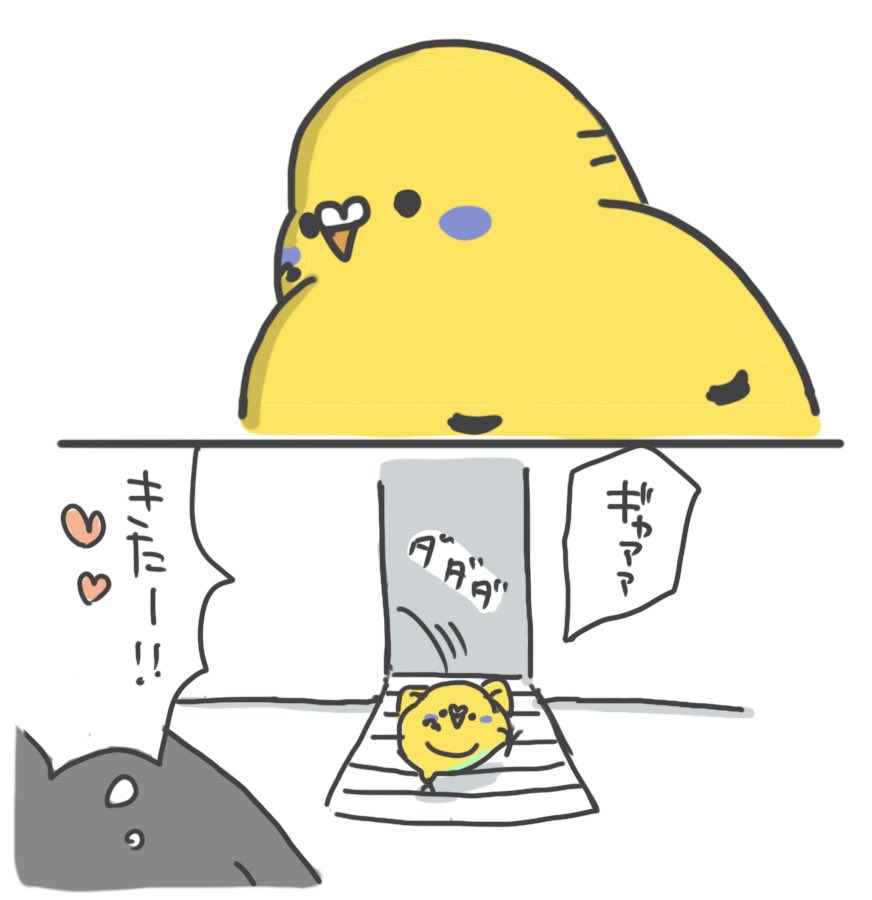 可愛い☺️ 