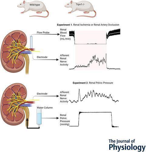 👋Channelomics.bsky.social👋 tweet media