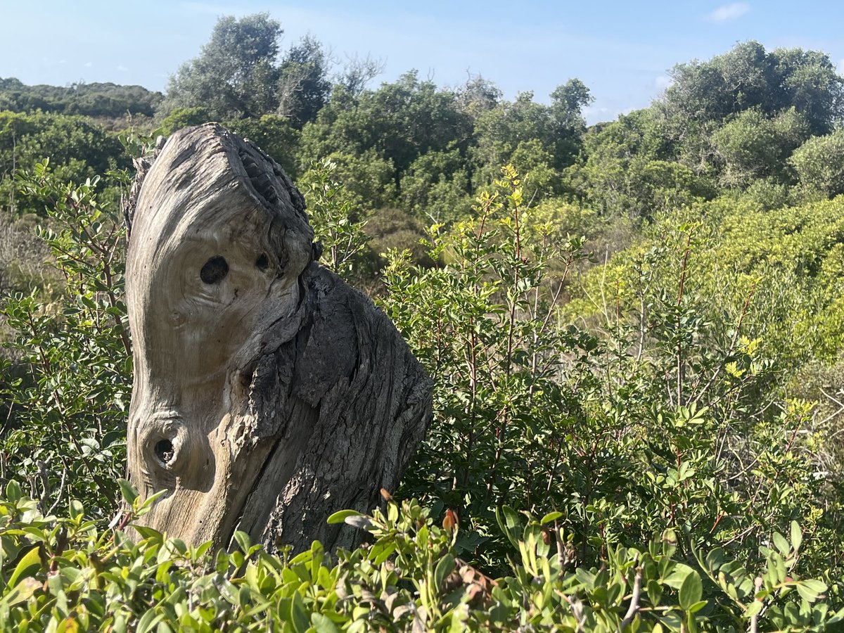 Froben Homburger tweet media