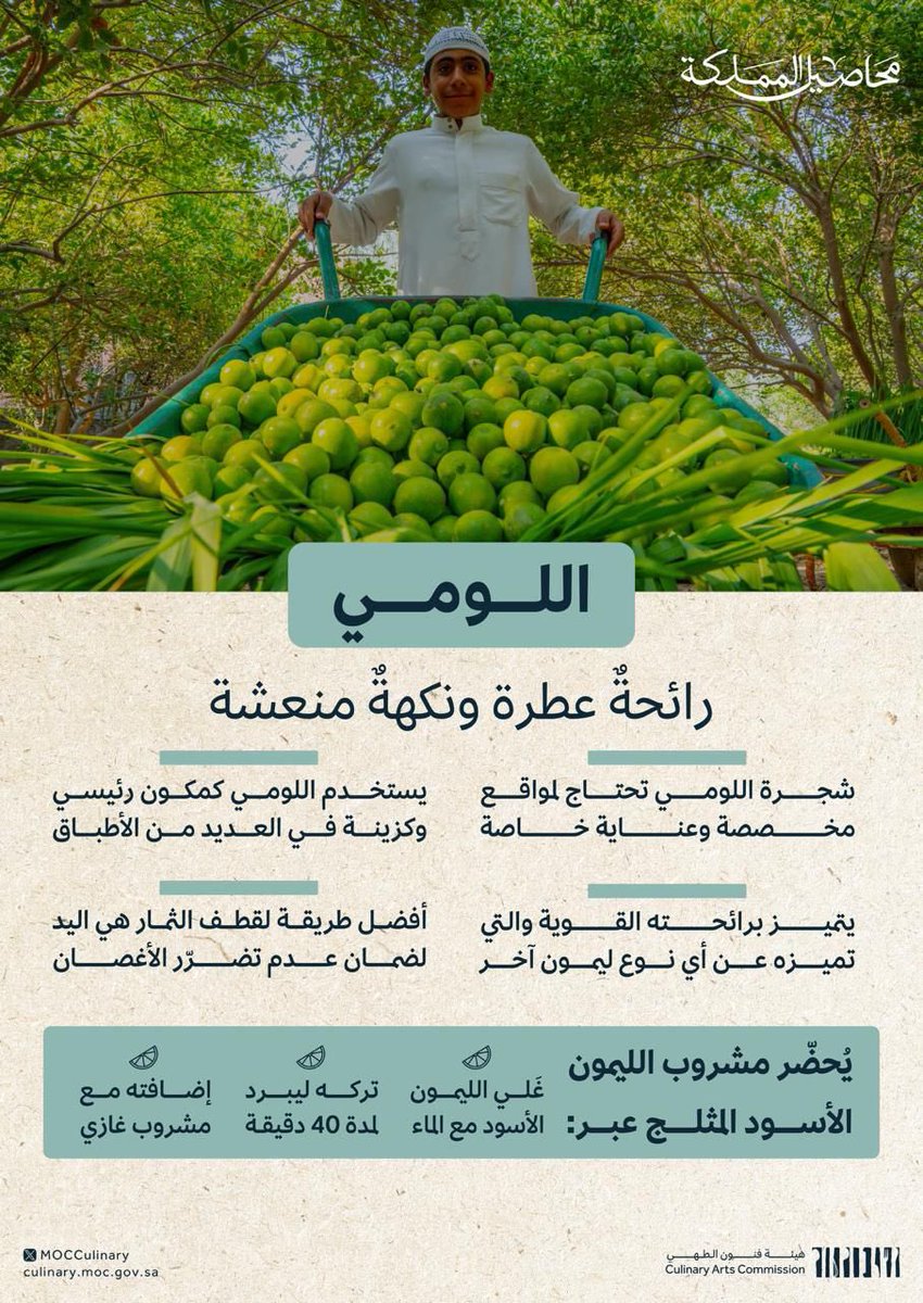 رحلة جديدة وممتعة من سلسلة #محاصيل_المملكة تكشف أسرار اللومي من قلب مزارع الأحساء 🍋‍🟩🌱

شاهدوا الحلقة كاملة الآن:
youtu.be/Tr1NgTTTu_U

#هيئة_فنون_الطهي