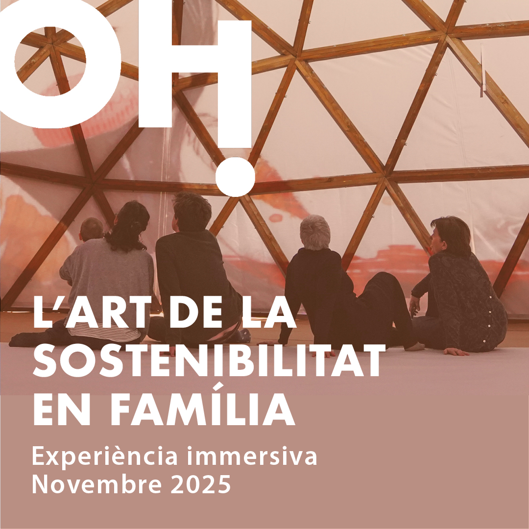 TGN Educació tweet media