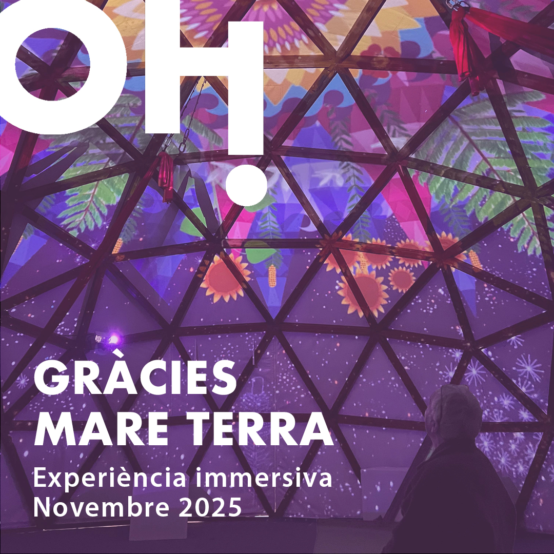 TGN Educació tweet media