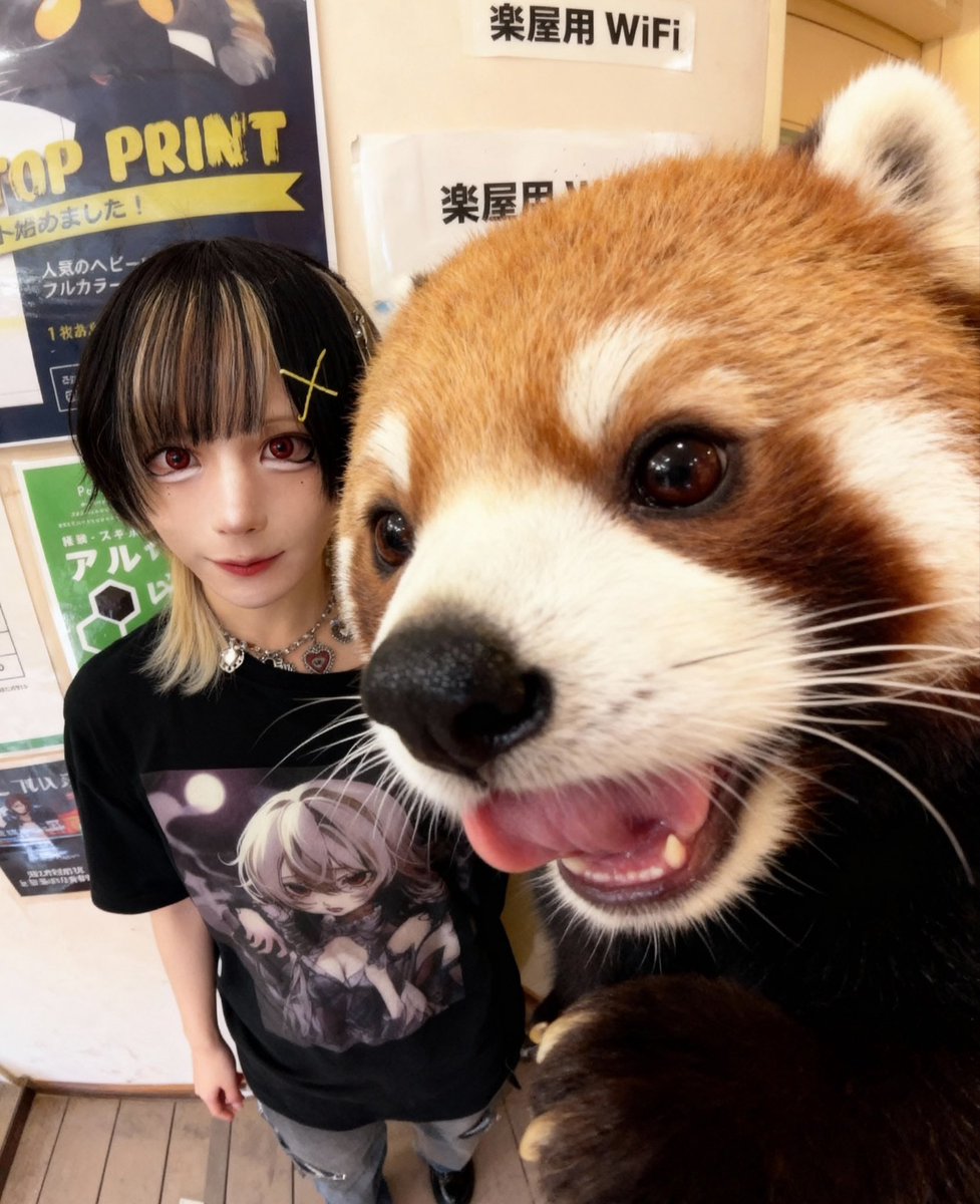 doku_mil's tweet image. いぬ