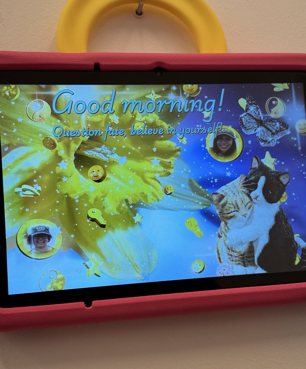 gm from Berlin 🛠️ 🐈 

at <a href="/artontezos_/">Art on Tezos</a> installing ‘Bom Dia’ by <a href="/erica__storer/">Érica Storer</a> &amp; <a href="/estelle_flores_/">Estelle Flores</a> 🌞 

avec <a href="/kikanicolela/">Kika Nicolela</a> 🦋 

see you tmrw!