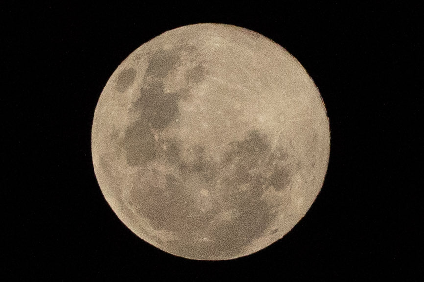 #beavermoon #moonshot2025 #melbourne 

<a href="/SonyAlpha/">Sony | Alpha</a> <a href="/10NewsMelb/">10 News Melbourne</a> <a href="/abcnews/">ABC News</a>