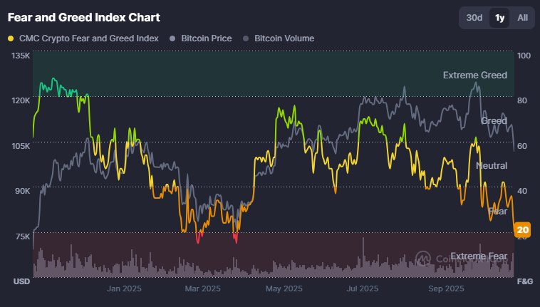 Bloggersweb3's tweet image. 我喜歡市場極度恐慌，當市場中意志薄弱的人紛紛逃離時，我會在底部買入，我喜歡這樣的日子。