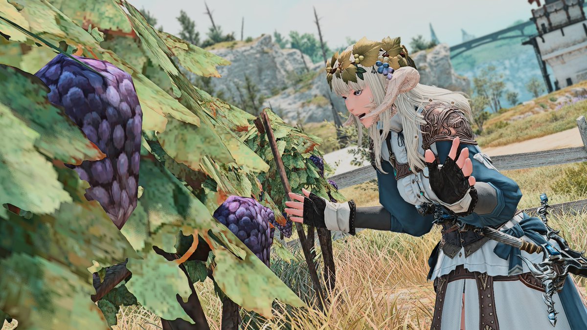 🍇🍇🍇
#FFXIV #GPOSERS