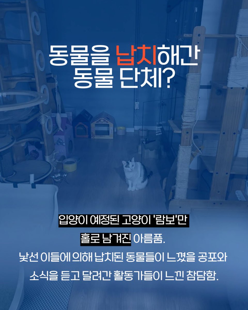 동물권행동 카라 노동조합🕯️ tweet media