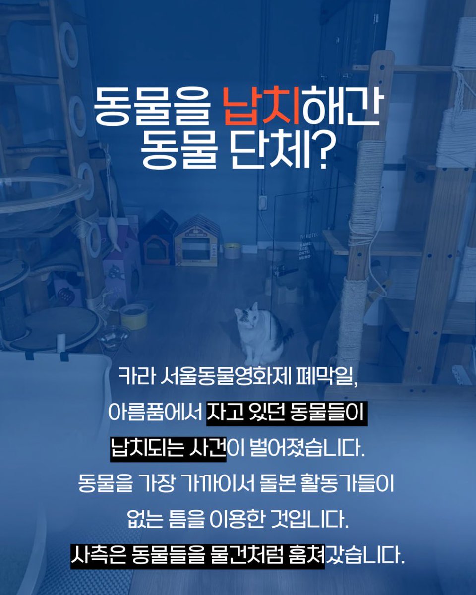 동물권행동 카라 노동조합🕯️ tweet media