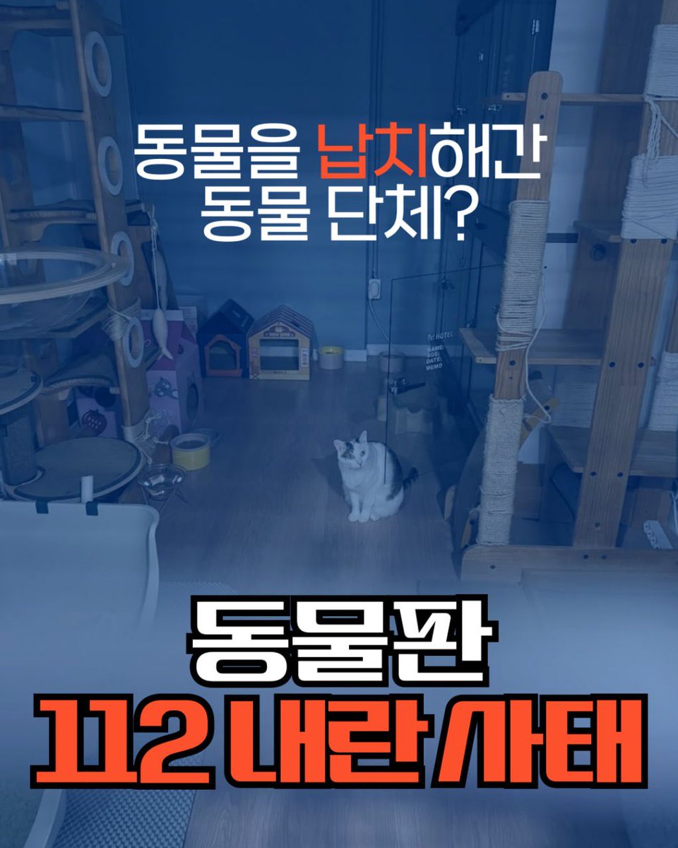 동물권행동 카라 노동조합🕯️ tweet media
