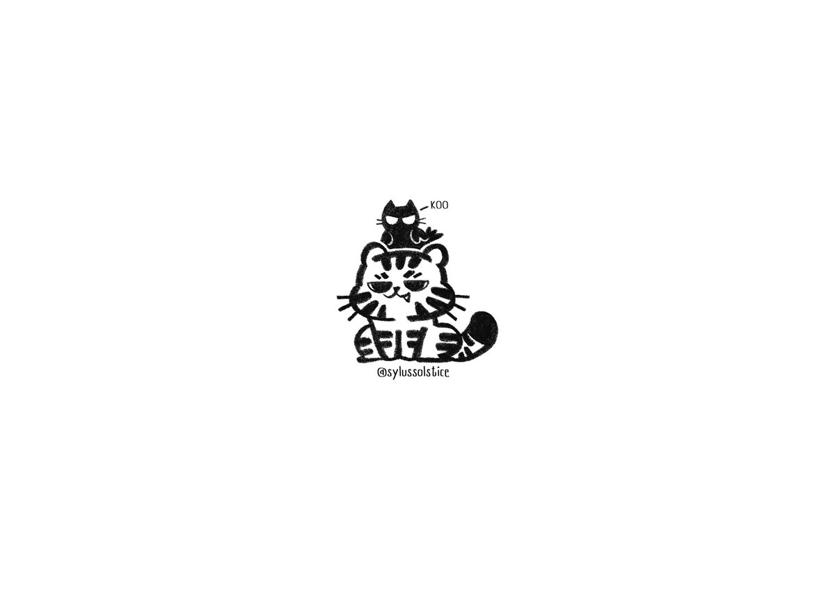 QinChe | 秦彻 tweet media