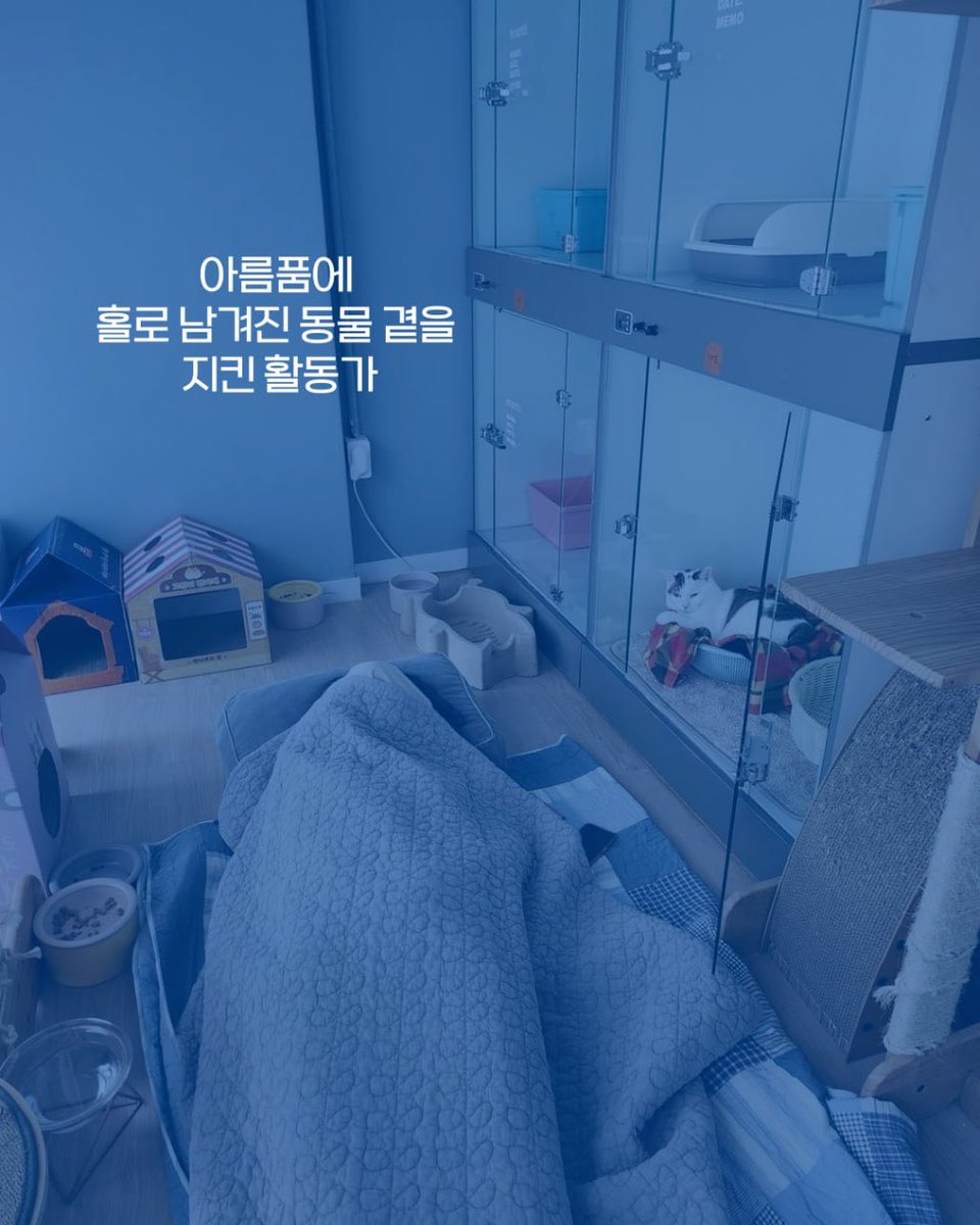 동물권행동 카라 노동조합🕯️ tweet media