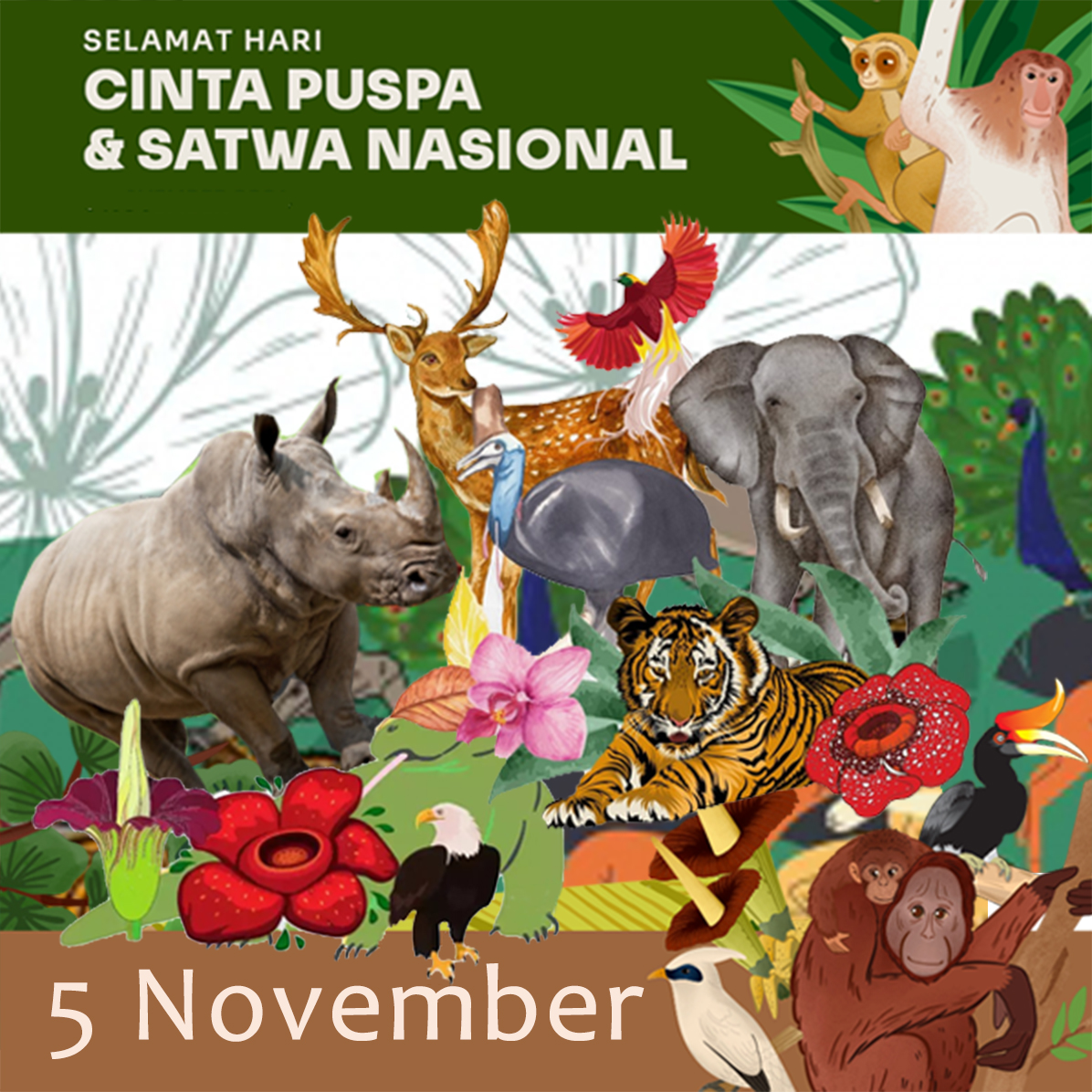 alexcandraw's tweet photo. https://t.co/Tocr04V7MG Ada yang tau hari ini peringatan nasional hari cinta puspa dan satwa nasional? https://t.co/xAmLr8ZpIM