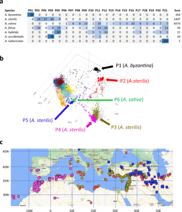 David Powell tweet media