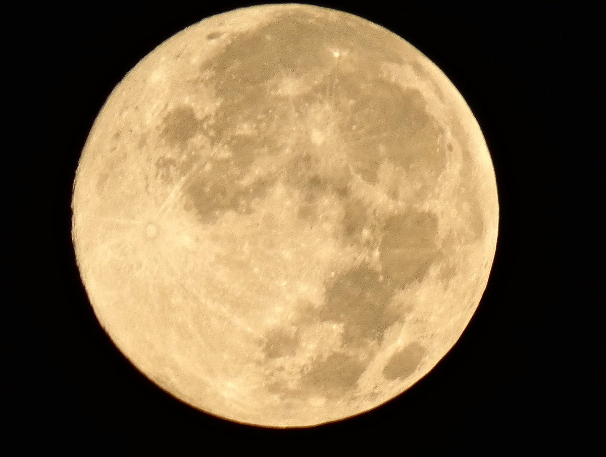 #fullmoon #BeaverMoon <a href="/EdPiotrowski/">Ed Piotrowski</a> <a href="/medwick/">Gannon Medwick</a> <a href="/DylanHudlerWXII/">Dylan Hudler</a> <a href="/jamiearnoldWMBF/">Jamie Arnold WMBF</a> <a href="/LeeHaywoodWX/">Lee Haywood</a> <a href="/dogwoodblooms/">Cassie Clark</a> <a href="/marioncaldwx/">Marion Caldwell</a> <a href="/JustinMcKeeWx/">Justin McKee</a> <a href="/StarboardRail/">The Starboard Rail</a> <a href="/ThePhotoHour/">#ThePhotoHour</a> <a href="/Christina4casts/">Christina Anthony</a> <a href="/CMorganWX/">Christian Morgan</a> <a href="/AndrewWMBF/">Andrew Dockery</a> <a href="/ScottyPowellWX/">Scotty Powell</a> <a href="/jgreenhillwx/">Jenna Greenhill</a> <a href="/TimBuckleyWX/">Tim Buckley</a> <a href="/matt_wx/">Meteorologist Matt Bullock</a> <a href="/clairefrywx/">Claire Fry</a>