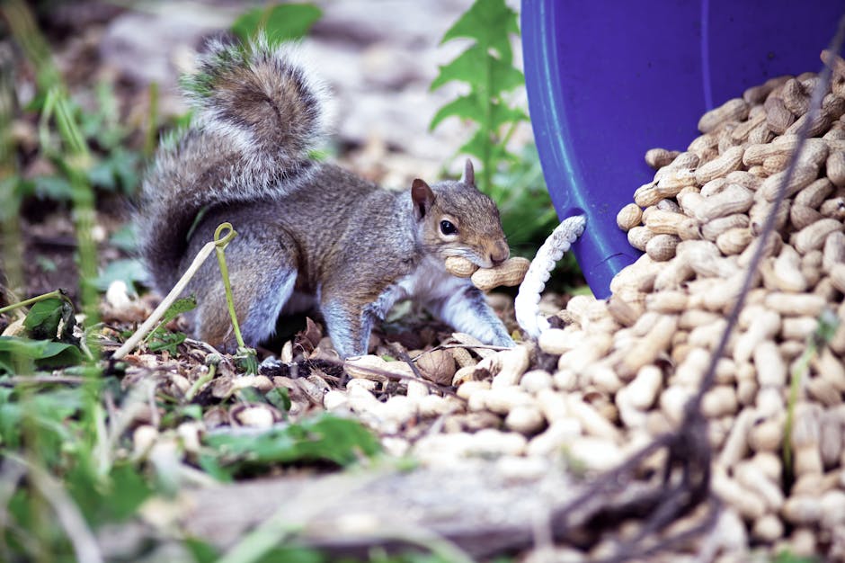 CloudNextLevel's tweet image. Upserting vs. Hoarding — Know the Difference

🚀 In Salesforce, data upserting = smart.
📦 Data hoarding = messy.

🔁 Keep what matters. Clean the rest.
#Salesforce #DataManagement