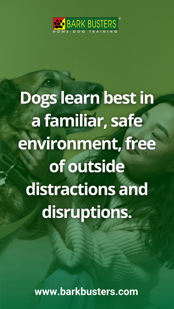 barkbusterla's tweet image. 🐕🎯 From barking to biting, we’ve seen it all—and fixed it all! 🐾❤️ Experience training that truly transforms behavior.
👉 barkbusters.com/dog-training/g…

#DogTrainingThatWorks #BetterBehavior