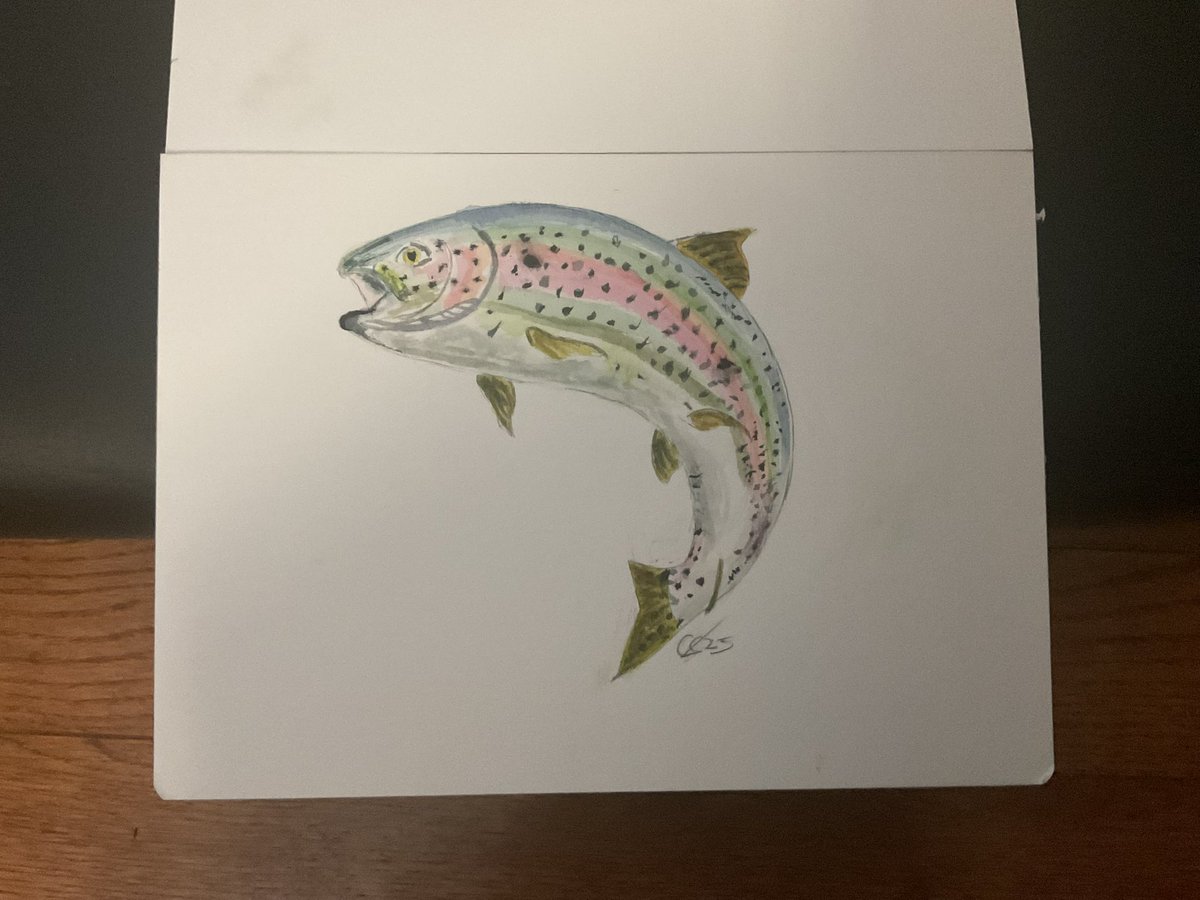 Gaineyartwork's tweet photo. Some of the fish I like eating to be honest https://t.co/FiCE3S6lV0
