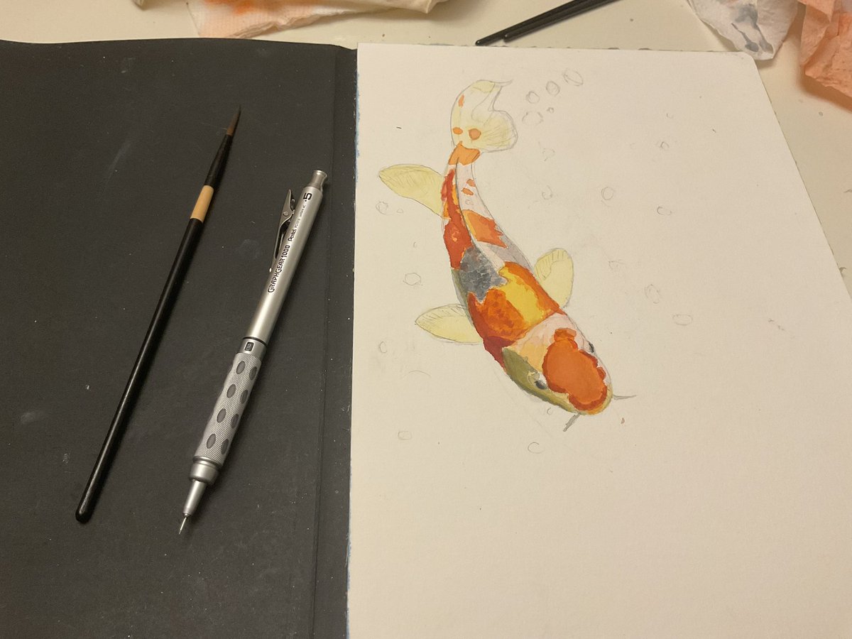 Gaineyartwork's tweet photo. Some of the fish I like eating to be honest https://t.co/FiCE3S6lV0