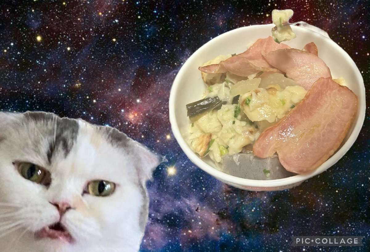 70_179_'s tweet photo. おでんに、、、

ナンを入れてぐちゃぐちゃに煮込んで、、

焼いたベーコンを乗せると美味しい https://t.co/GAsILuwIH8