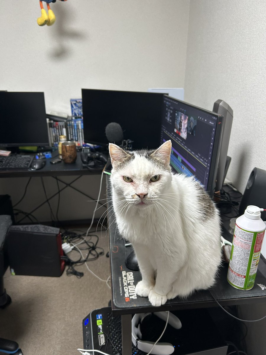 何かを訴えかけて来てる