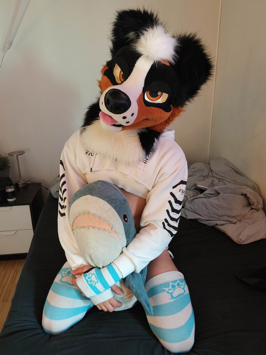 PanciousVR's tweet image. Just a soft soul in a cold world, looking for warmth 🐾🩵