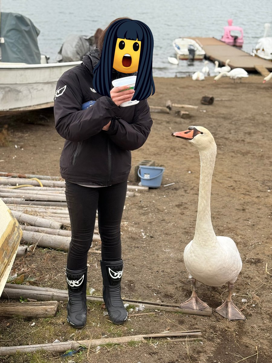 ✮ ɐ ʎ ɐ ✮🧄𝕄ℂ𝟙𝟟🫶🏻ℤ𝕏-𝟟ℝ ᐕ)ﾉ🍚 (@aaayaaa08109693) / Posts / X