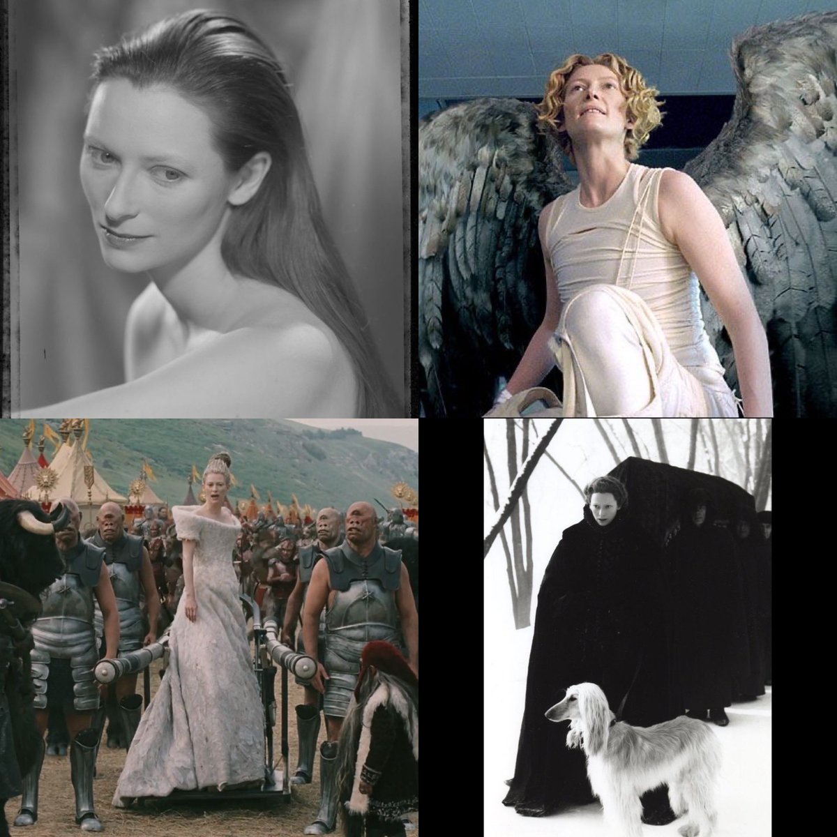 Poelett's tweet image. 今日11月5日は
ティルダ・スウィントンさまと
ちえりすさんのお誕生日
（母と同じ誕生日嬉しい🎂🐿️🕊️⸝⋆⸝⋆）

ティルダさまは学生時代に観た
デレク・ジャーマン映画の
中世絵画から抜け出したような
美しいお姿に一目惚れして以来
ずっと大ファン

おめでとう御座います♥️🕊️

#TildaSwinton
☪︎